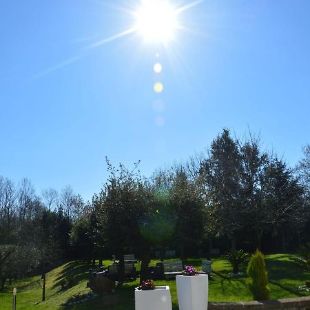 Conca della Campania Tenuta Terra Tefraヴィラ エクステリア 写真