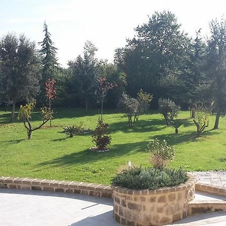 Conca della Campania Tenuta Terra Tefraヴィラ エクステリア 写真