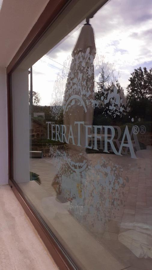 Conca della Campania Tenuta Terra Tefraヴィラ エクステリア 写真