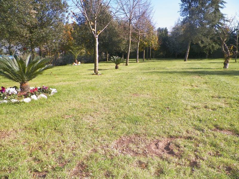 Conca della Campania Tenuta Terra Tefraヴィラ エクステリア 写真